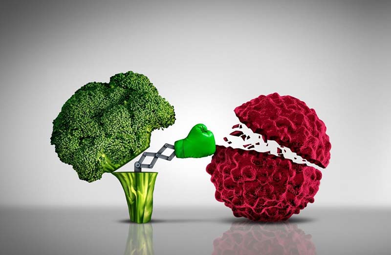 Does Broccoli Help You Lose Weight 