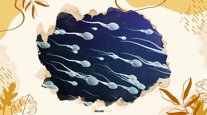 How to Stop Sperm Leakage